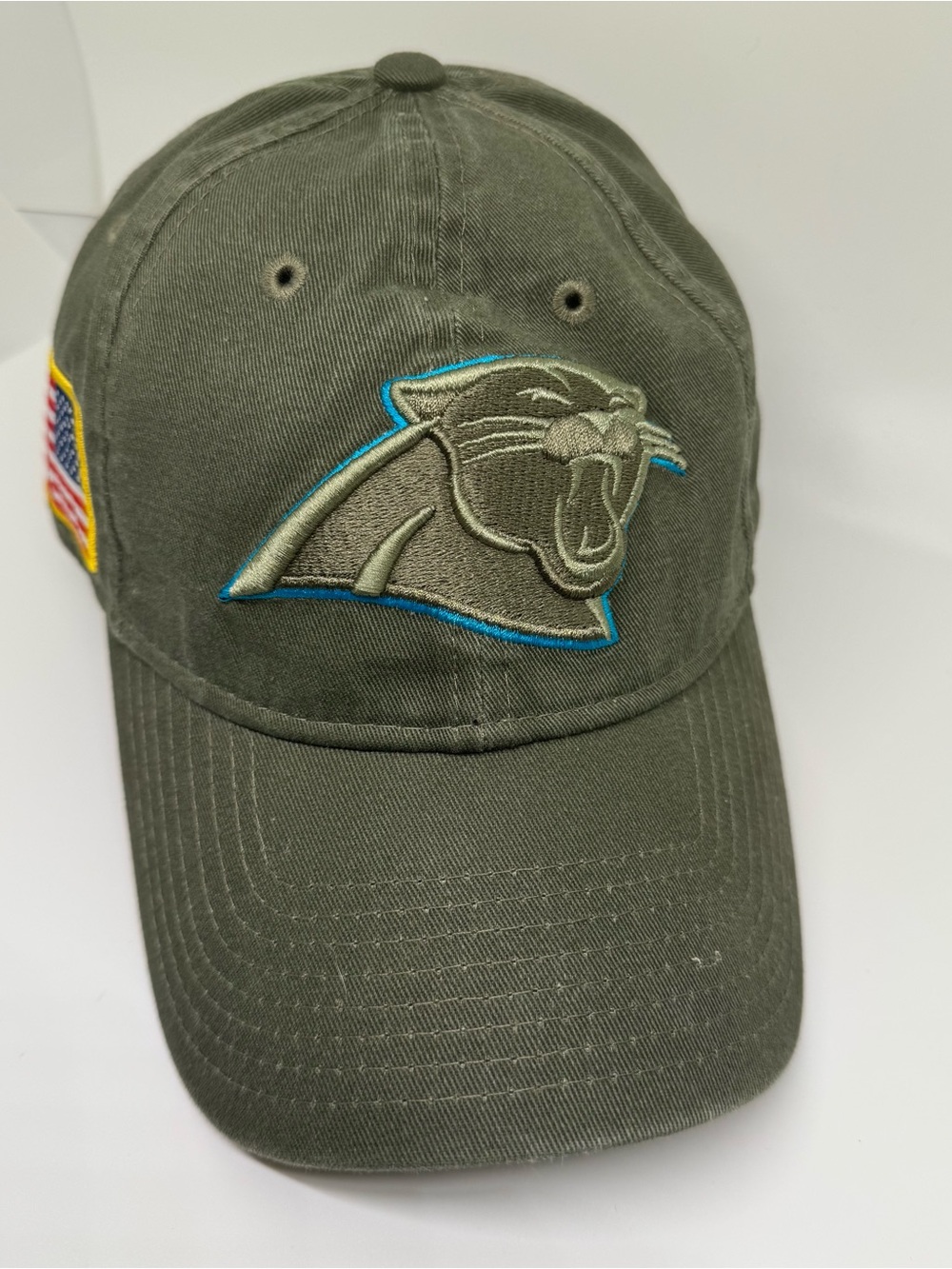 NFL Olive Green Carolina Panthers Embroidered Logo Cap with Blue Accent